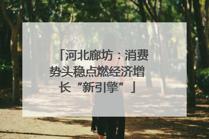 河北廊坊：消费势头稳点燃经济增长“新引擎”