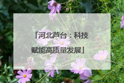 河北芦台：科技赋能高质量发展