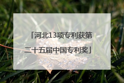 河北13项专利获第二十五届中国专利奖