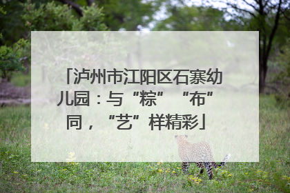 泸州市江阳区石寨幼儿园：与“粽”“布”同，“艺”样精彩