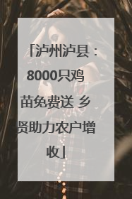 泸州泸县：8000只鸡苗免费送 乡贤助力农户增收