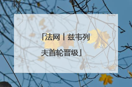 法网丨兹韦列夫首轮晋级