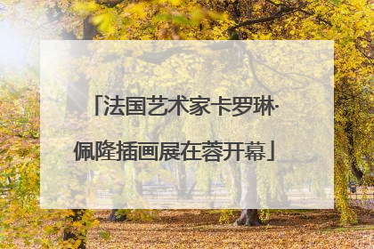 法国艺术家卡罗琳·佩隆插画展在蓉开幕