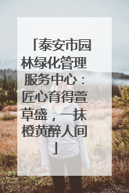 泰安市园林绿化管理服务中心：匠心育得萱草盛，一抹橙黄醉人间