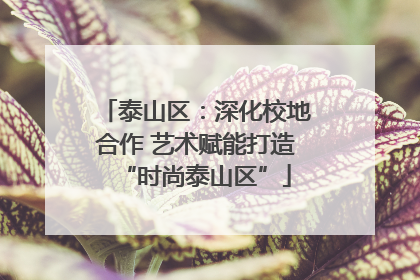 泰山区：深化校地合作 艺术赋能打造“时尚泰山区”