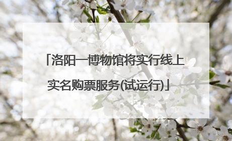 洛阳一博物馆将实行线上实名购票服务(试运行)