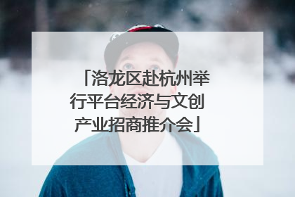 洛龙区赴杭州举行平台经济与文创产业招商推介会
