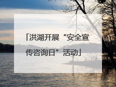 洪湖开展“安全宣传咨询日”活动