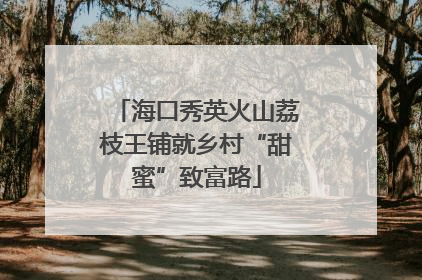 海口秀英火山荔枝王铺就乡村“甜蜜”致富路