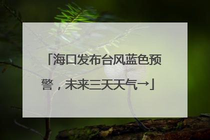 海口发布台风蓝色预警，未来三天天气→