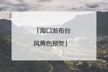 海口发布台风黄色预警