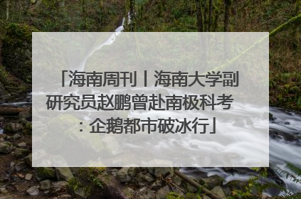 海南周刊丨海南大学副研究员赵鹏曾赴南极科考：企鹅都市破冰行