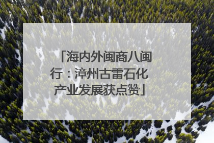海内外闽商八闽行：漳州古雷石化产业发展获点赞