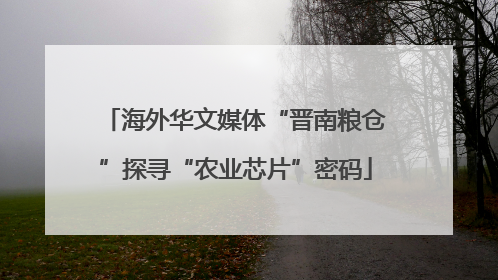 海外华文媒体“晋南粮仓”探寻“农业芯片”密码