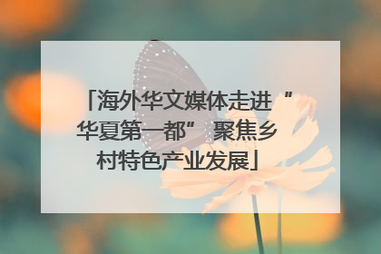 海外华文媒体走进“华夏第一都” 聚焦乡村特色产业发展