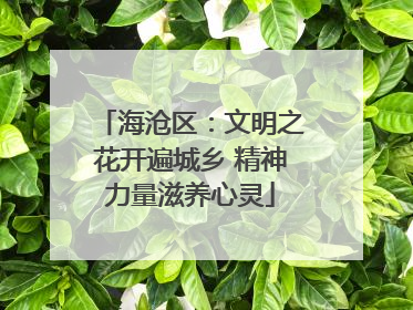 海沧区：文明之花开遍城乡 精神力量滋养心灵