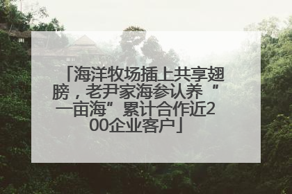 海洋牧场插上共享翅膀，老尹家海参认养“一亩海”累计合作近200企业客户