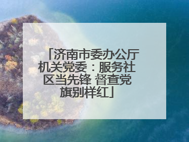 济南市委办公厅机关党委：服务社区当先锋 督查党旗别样红