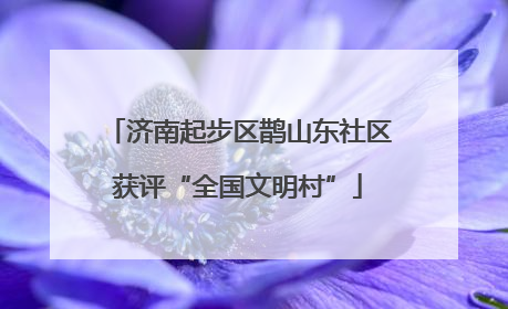 济南起步区鹊山东社区获评“全国文明村”
