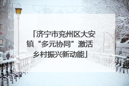 济宁市兖州区大安镇“多元协同”激活乡村振兴新动能