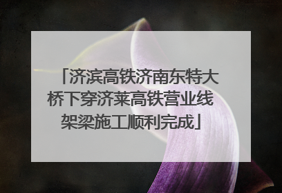 济滨高铁济南东特大桥下穿济莱高铁营业线架梁施工顺利完成
