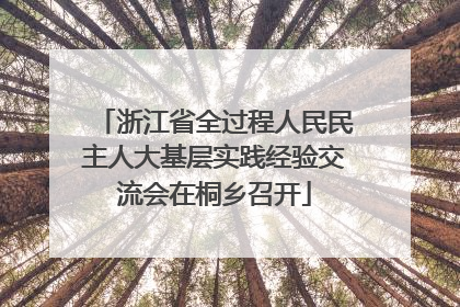 浙江省全过程人民民主人大基层实践经验交流会在桐乡召开