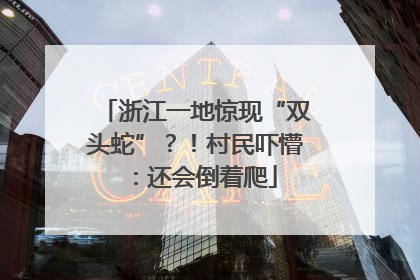 浙江一地惊现“双头蛇”？！村民吓懵：还会倒着爬