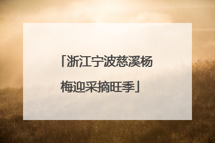 浙江宁波慈溪杨梅迎采摘旺季
