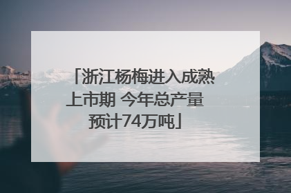 浙江杨梅进入成熟上市期 今年总产量预计74万吨