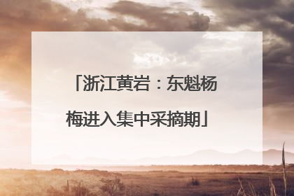 浙江黄岩：东魁杨梅进入集中采摘期