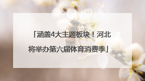 涵盖4大主题板块！河北将举办第六届体育消费季