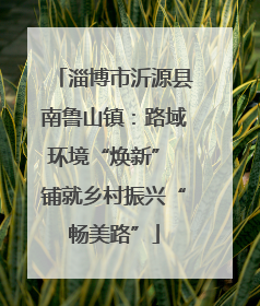 淄博市沂源县南鲁山镇：路域环境“焕新” 铺就乡村振兴“畅美路”