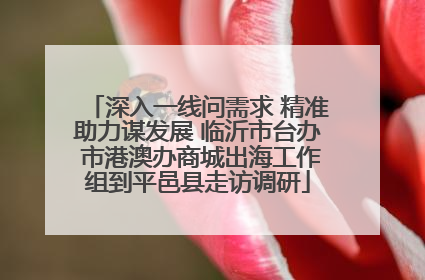 深入一线问需求 精准助力谋发展 临沂市台办 市港澳办商城出海工作组到平邑县走访调研