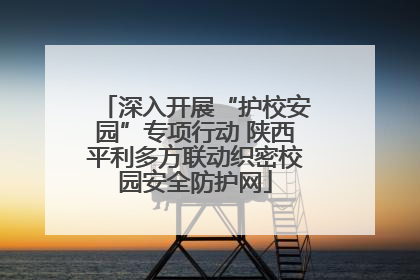 深入开展“护校安园”专项行动 陕西平利多方联动织密校园安全防护网