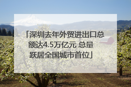 深圳去年外贸进出口总额达4.5万亿元 总量跃居全国城市首位