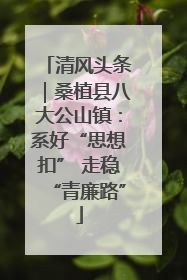 清风头条｜桑植县八大公山镇：系好“思想扣” 走稳“青廉路”