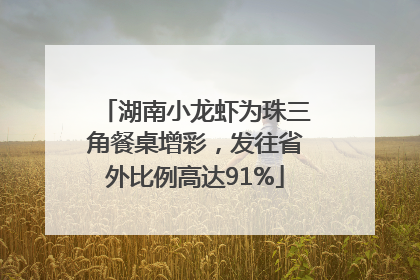 湖南小龙虾为珠三角餐桌增彩，发往省外比例高达91%