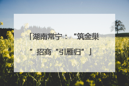 湖南常宁：“筑金巢”招商“引雁归”