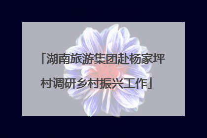 湖南旅游集团赴杨家坪村调研乡村振兴工作