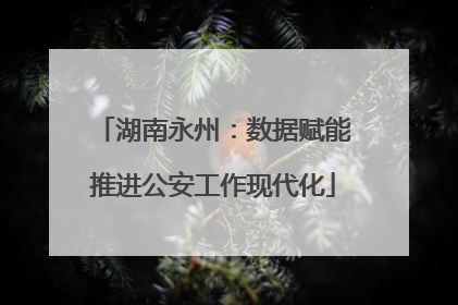 湖南永州：数据赋能推进公安工作现代化