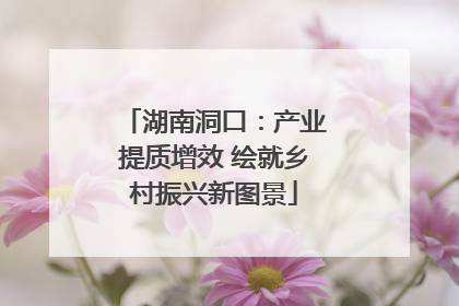 湖南洞口：产业提质增效 绘就乡村振兴新图景