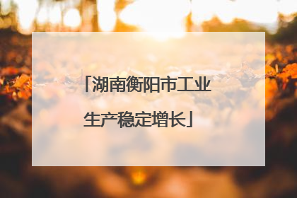 湖南衡阳市工业生产稳定增长