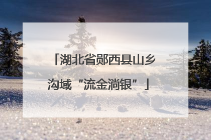 湖北省郧西县山乡沟域“流金淌银”