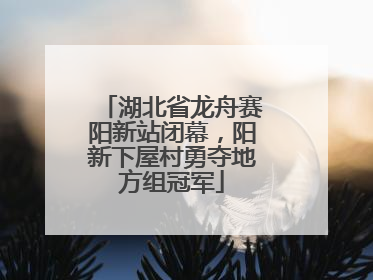 湖北省龙舟赛阳新站闭幕，阳新下屋村勇夺地方组冠军