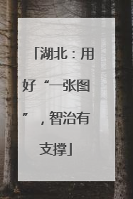 湖北：用好“一张图”，智治有支撑