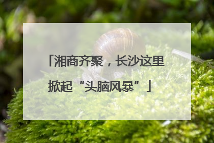 湘商齐聚，长沙这里掀起“头脑风暴”