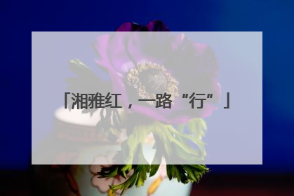 湘雅红，一路“行”