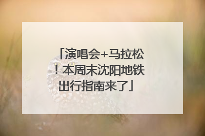 演唱会+马拉松！本周末沈阳地铁出行指南来了