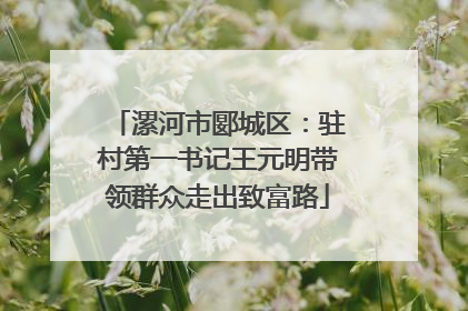 漯河市郾城区：驻村第一书记王元明带领群众走出致富路
