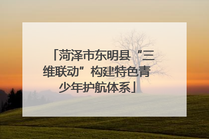 菏泽市东明县“三维联动”构建特色青少年护航体系